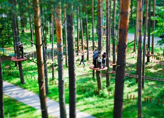 One Adventure Park